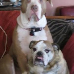 Meet your Posher, Jan